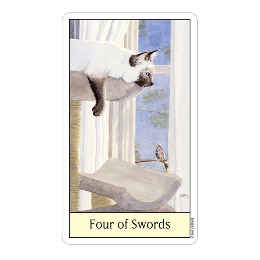 Tarot Deck With Guidebook - 고양이 눈 타로 12x7 cm 카드